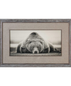 Deep Sleep Framed Print