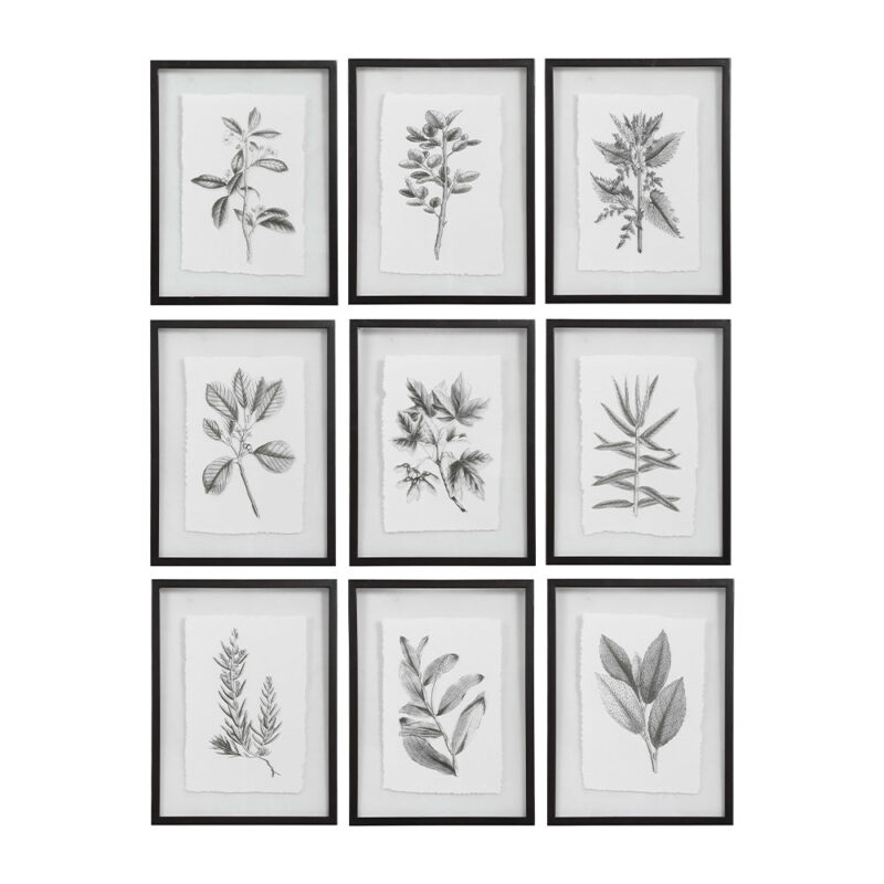 Farmhouse Florals Framed Prints, Set of 9